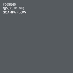 #565B60 - Scarpa Flow Color Image